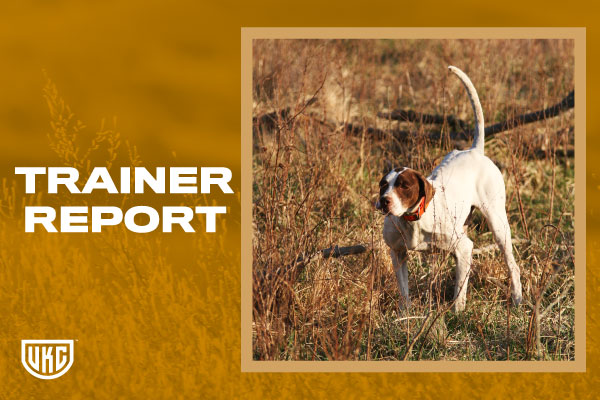 Trainer Report news