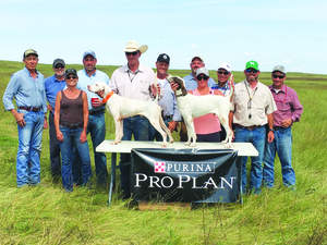 all-america-prairie-ch