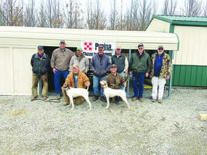 all-america-quail-ch