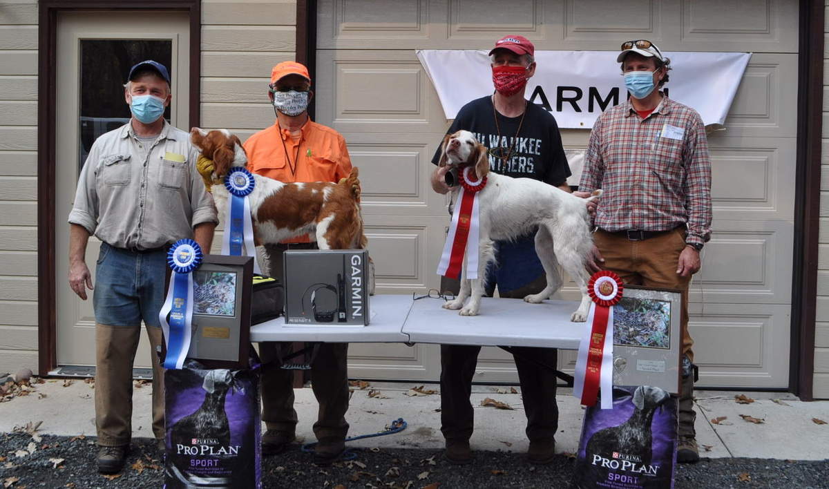 American Brittany Grouse and Woodcock Championship