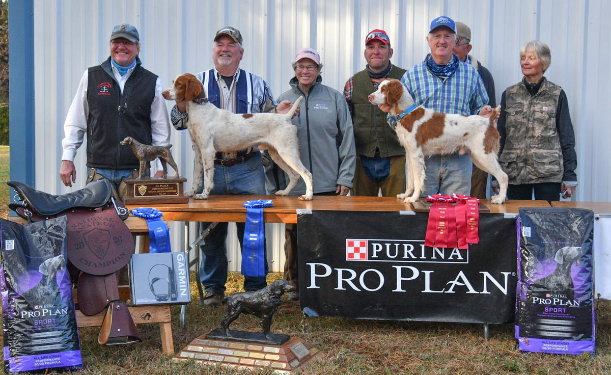 American Brittany Club National Amateur Championship