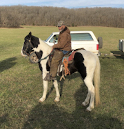 American Brittany Club Quail Championship 2