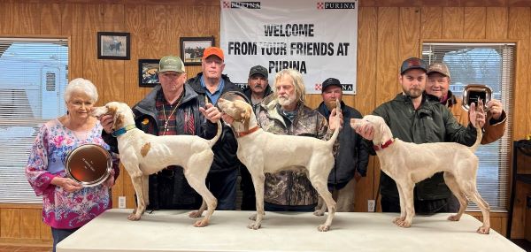 georgia celebration ads23-