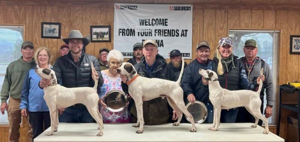 georgia celebration asds23