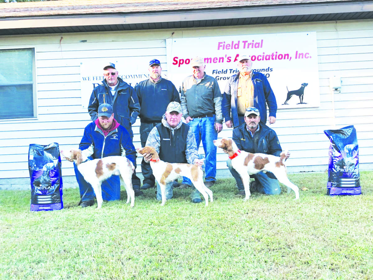 greater-st-louis-brit