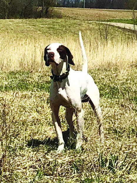 hainline's-rock-n-roll