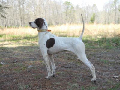 harbor city sure shots23