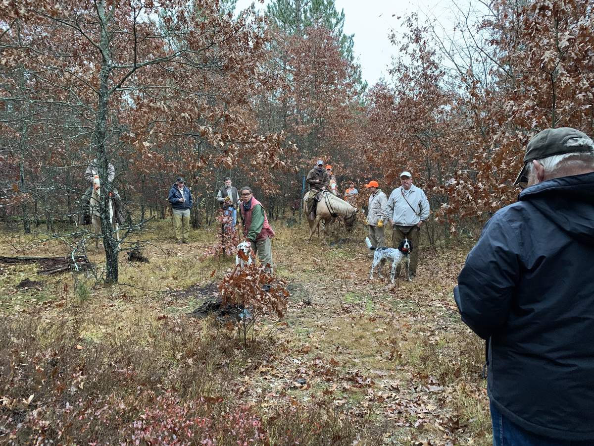 Lake States Grouse Dog Championship 3