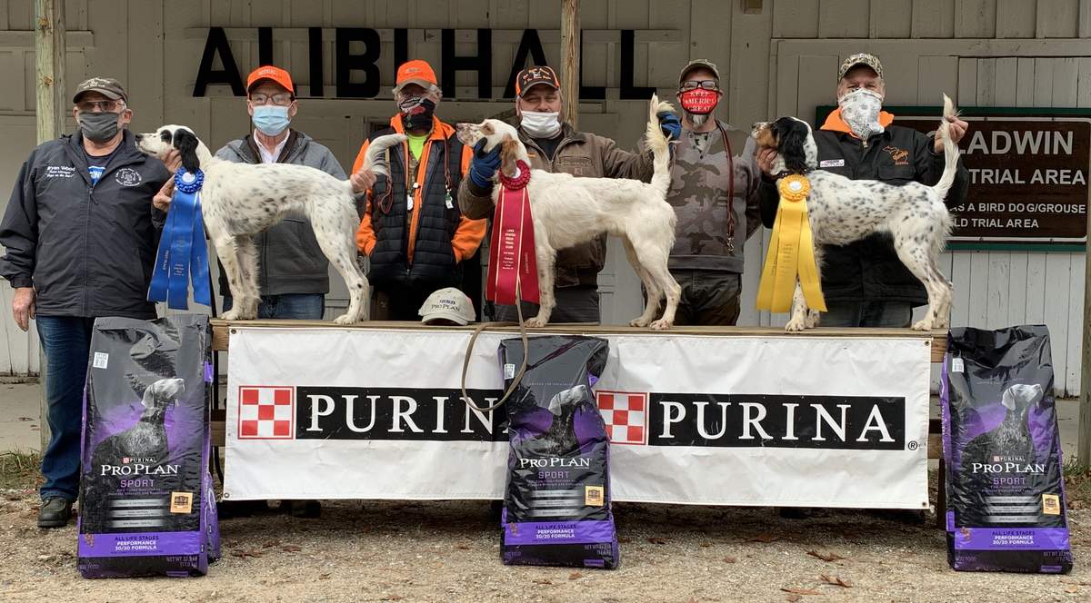 Lake States Grouse Dog Championship 5