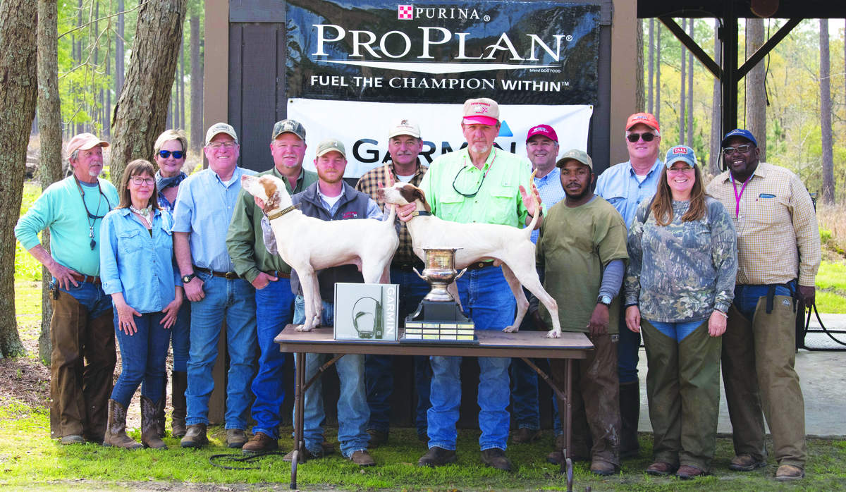 masters-quail-ch-2019