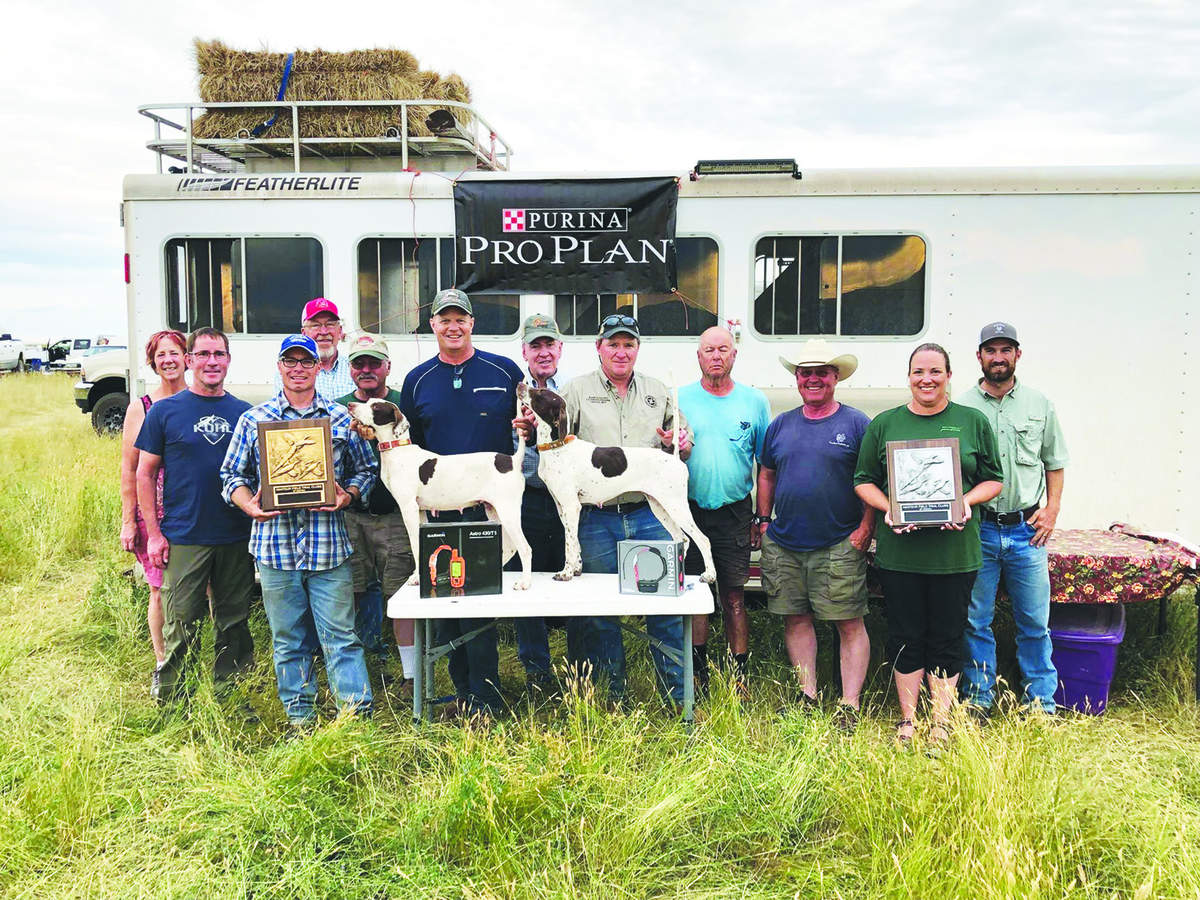 nat-ama-pheasant-sd-ch