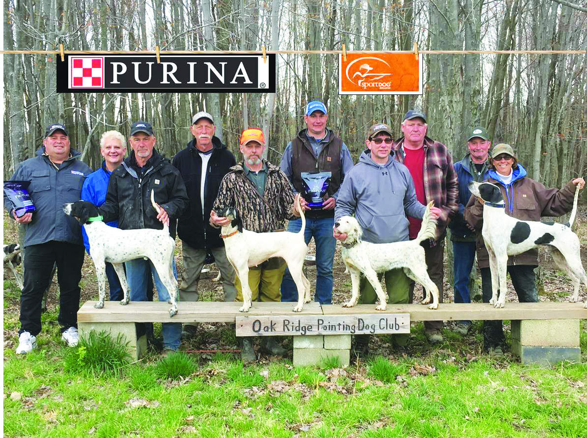 national-walking-sd-fut