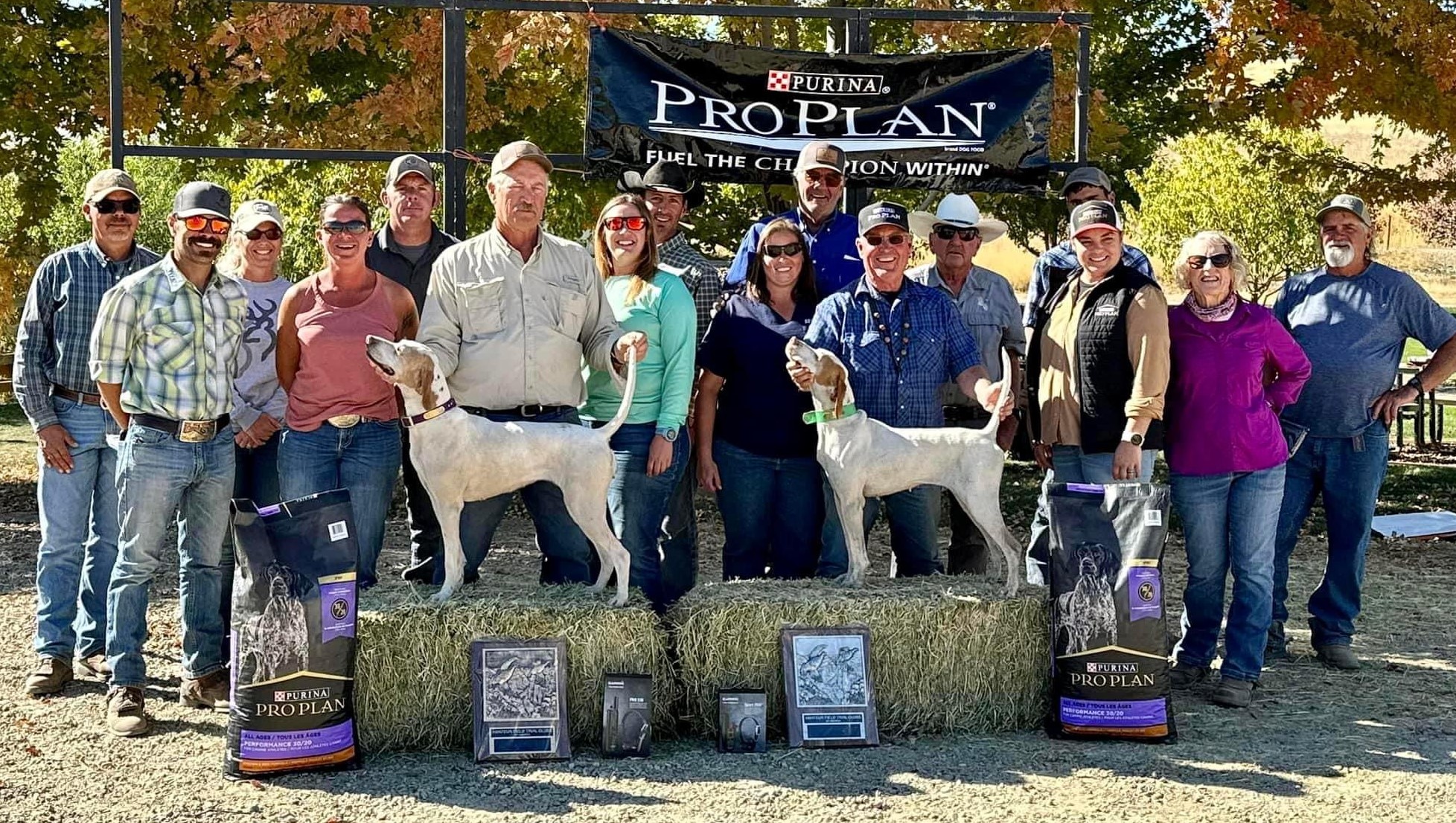 National Ama Chukar Shooting Dog ChampionsipF22