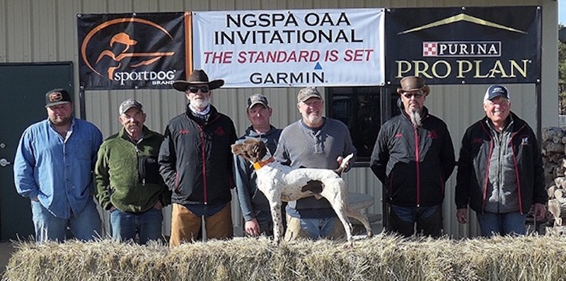 Open All Age Winners