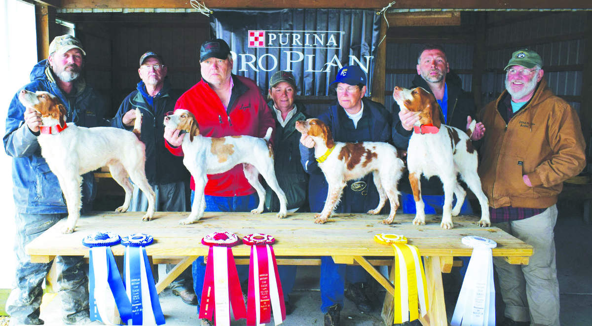 pennsylvania-brit-osd-ch