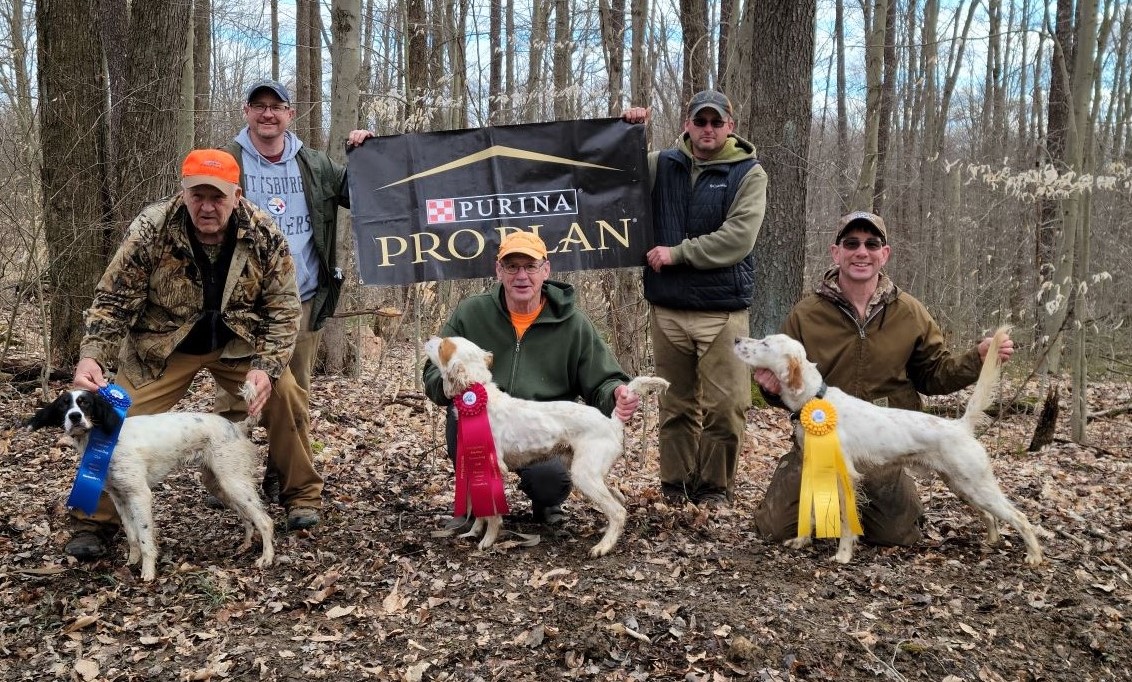 pennsylvania puppy22