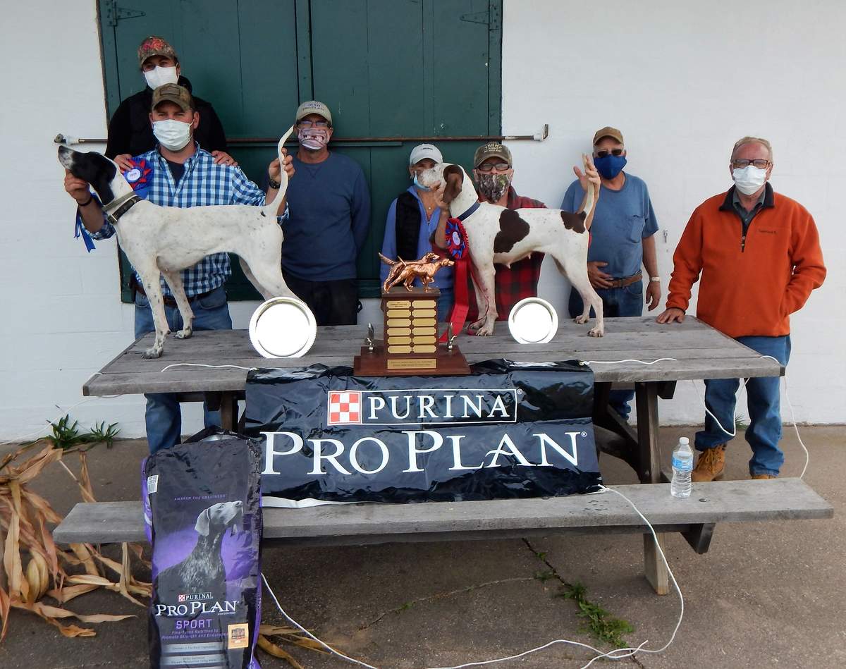 Region 1 Amateur Shooting Dog Championship 2