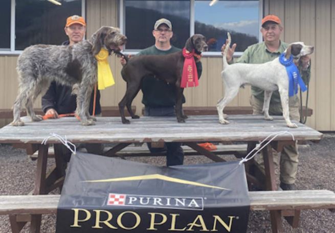 Amateur Walking Shooting (Gun) Dog Winners