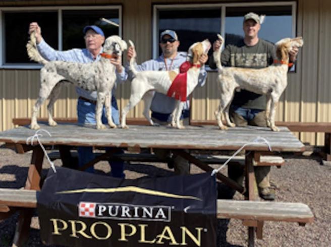 Amateur Walking Puppy Winners