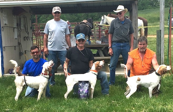 Summerhill Field Trial Club