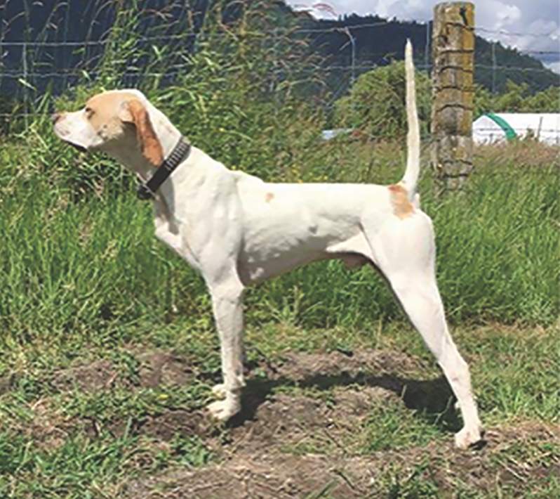 Hirolins Talkin Smack First Open SD Stake