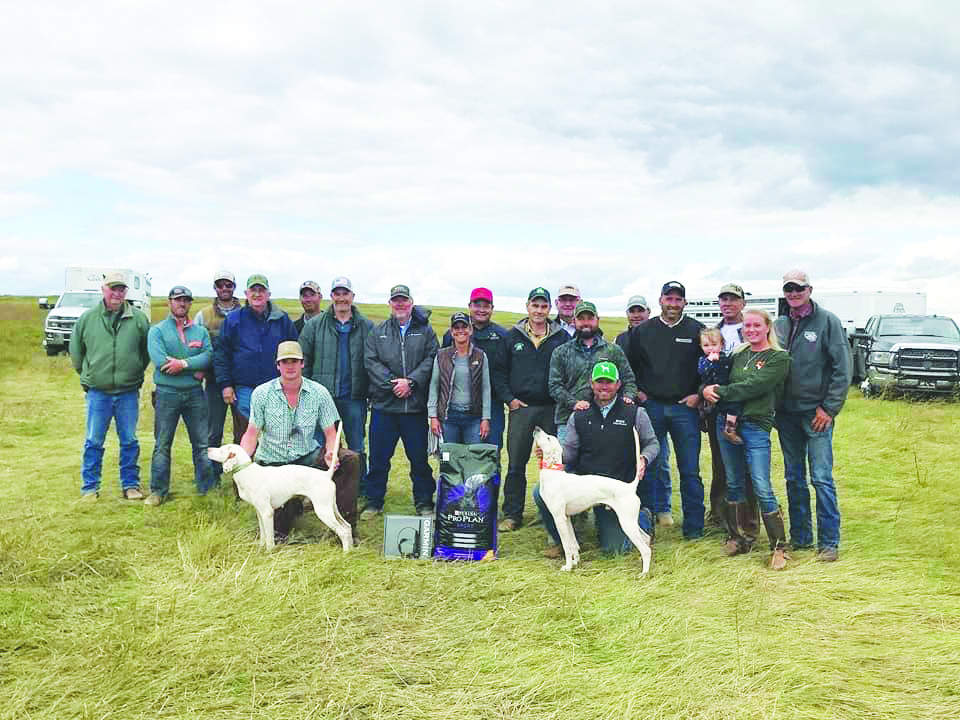 united-states-chicken-ch-2019