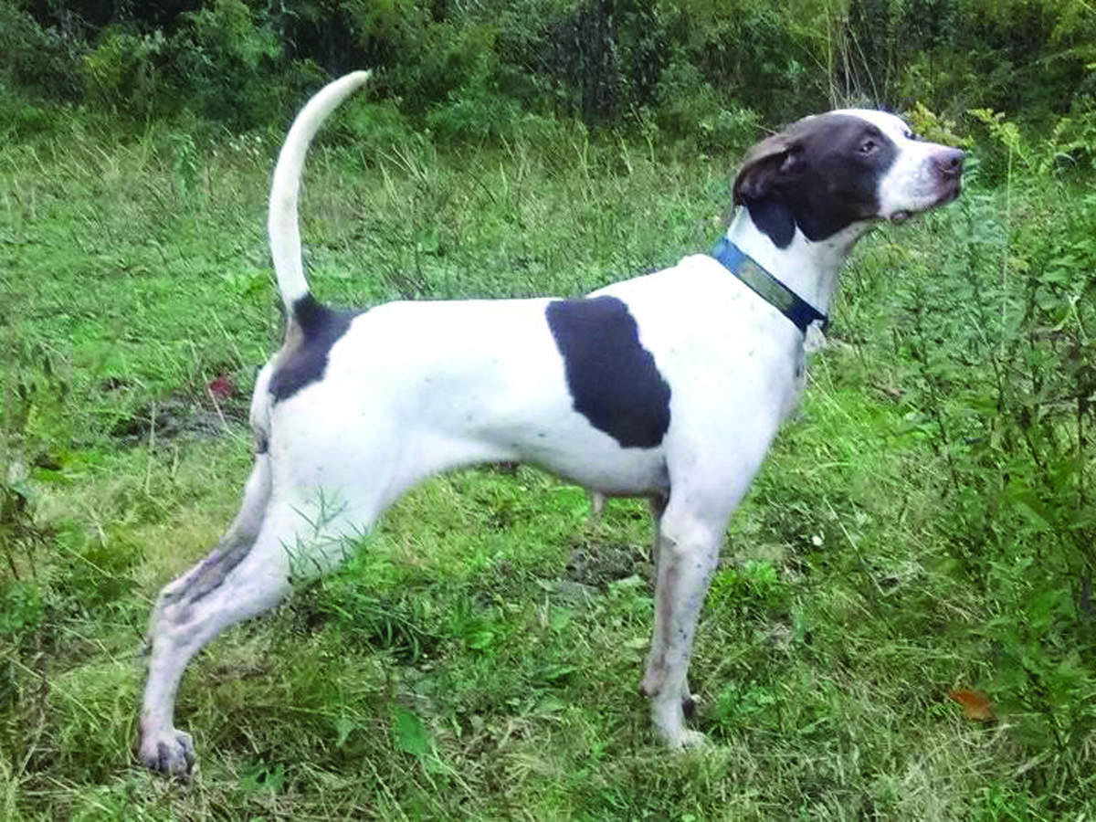 U.S Complete Northeast Regional Championship 2